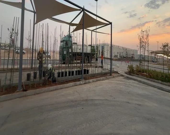 Shade-sail canopy over sapling holding area, two crouched workers in hi-vis, truck delivering saplings, cars and buildings behind at sunset